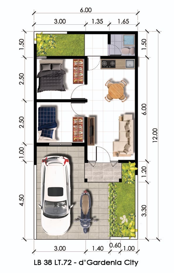 Layout d'Camilia